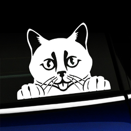 2x Peeking Cat Vinyl Decal Original From 2018 Cat Sticker 