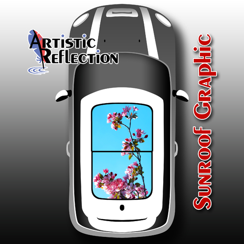 Pink Blossoms Sunroof Graphic for MINI Cooper Product Page