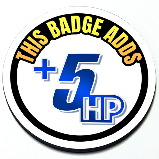 This Badge Adds +5 HP - Grill Badge 3D